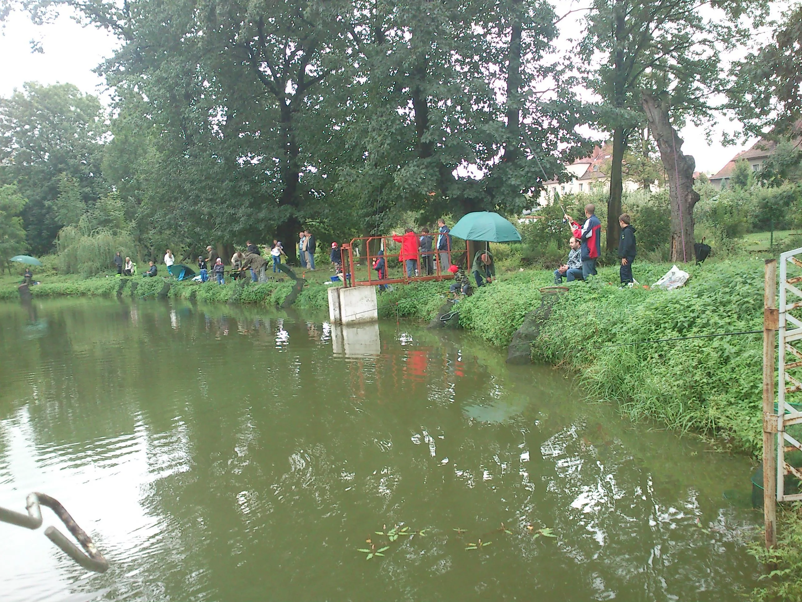 X PUCHAR KAZIMIERZA PIETRUSZYŃSKIEGO STAW KOŚCIUSZKI 26.08.2012